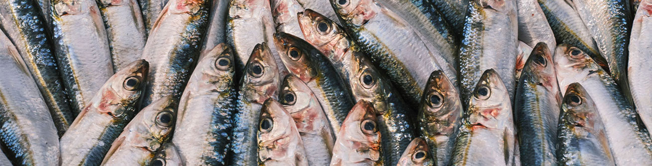 Peixes empilhados em frigorífico